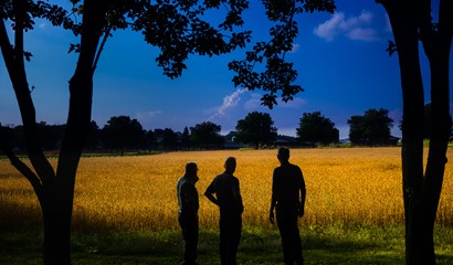 Three men overlooking field