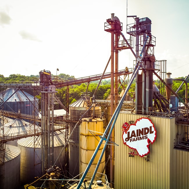 Grain feed mill