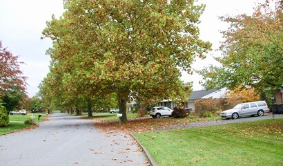 Parkland Terrace