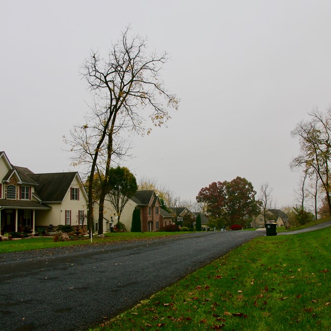West Woods