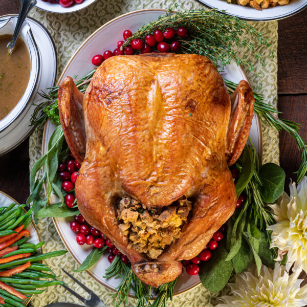 Grand Champion Turkey - Image 2